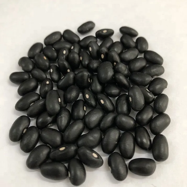 black kidney bean_06.jpg