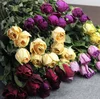 Dried natural rose flower dry single rose stem and buds