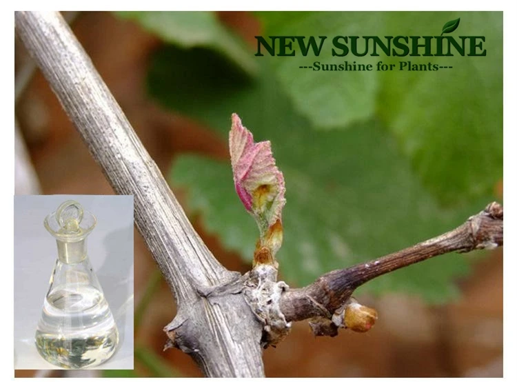 hydgrogen cynamide.jpg