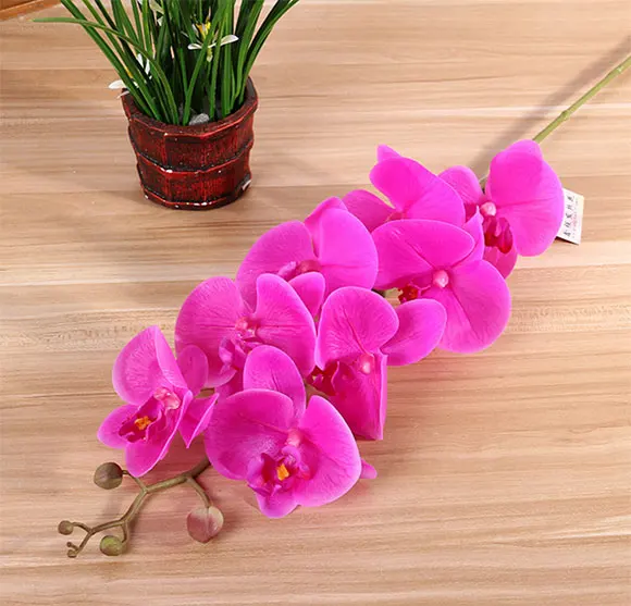 Artificial Pu Silk Artificial Phalaenopsis Butterfly Orchids Moth Orchids Buy Moth Orchids