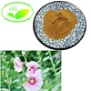 Factory SupplyTop Quality Marshmallow Leaf Extract/Marshmallow Leaf Extract Powder