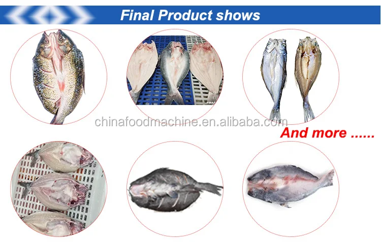 Automatic Fish Gut Removal Cleaning Gutting and Scaling Machine Fish Processing Plant manufacture