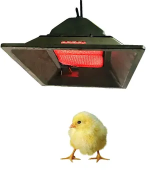 Farming Equipment Infrared Poultry Gas Heater For Baby Chicken Warming ...