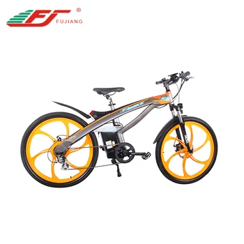 250w electric bike