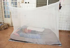 big mosquito net