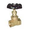 Nice Quality Valve Parts Brass Gate Valve Made In China