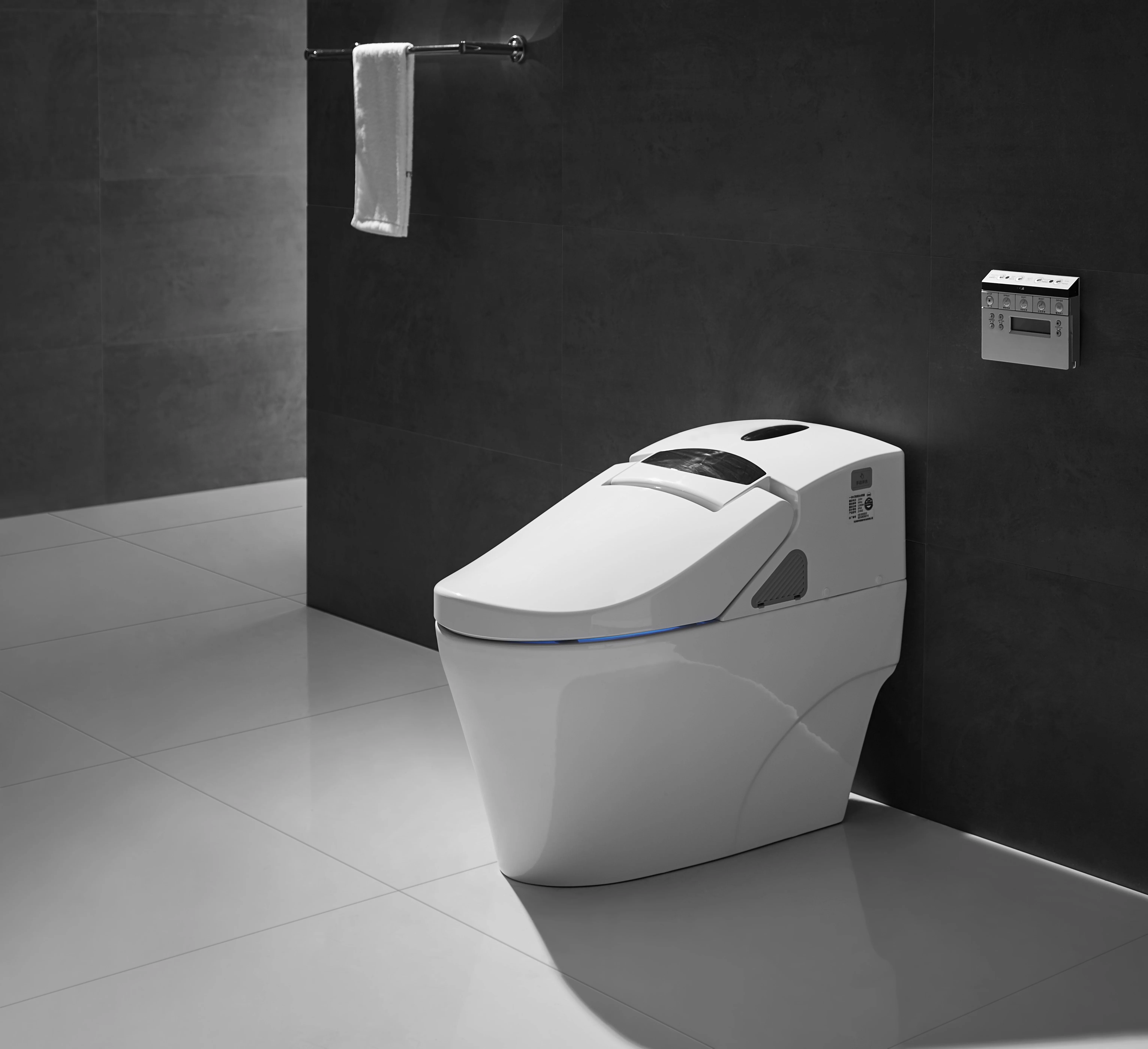 Environmental Electric Automatic Toilet Zjs02 Buy Japanese Toilet