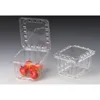 custom Embossing disposablefood grade PET Plastic box for Fruit and Vegetable Packaging