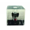 Gelsonlab HSPEM-024 Acrylic Cube Magnetic Field Snow Globe with Iron Filings & Fluid Magnetic field Cube