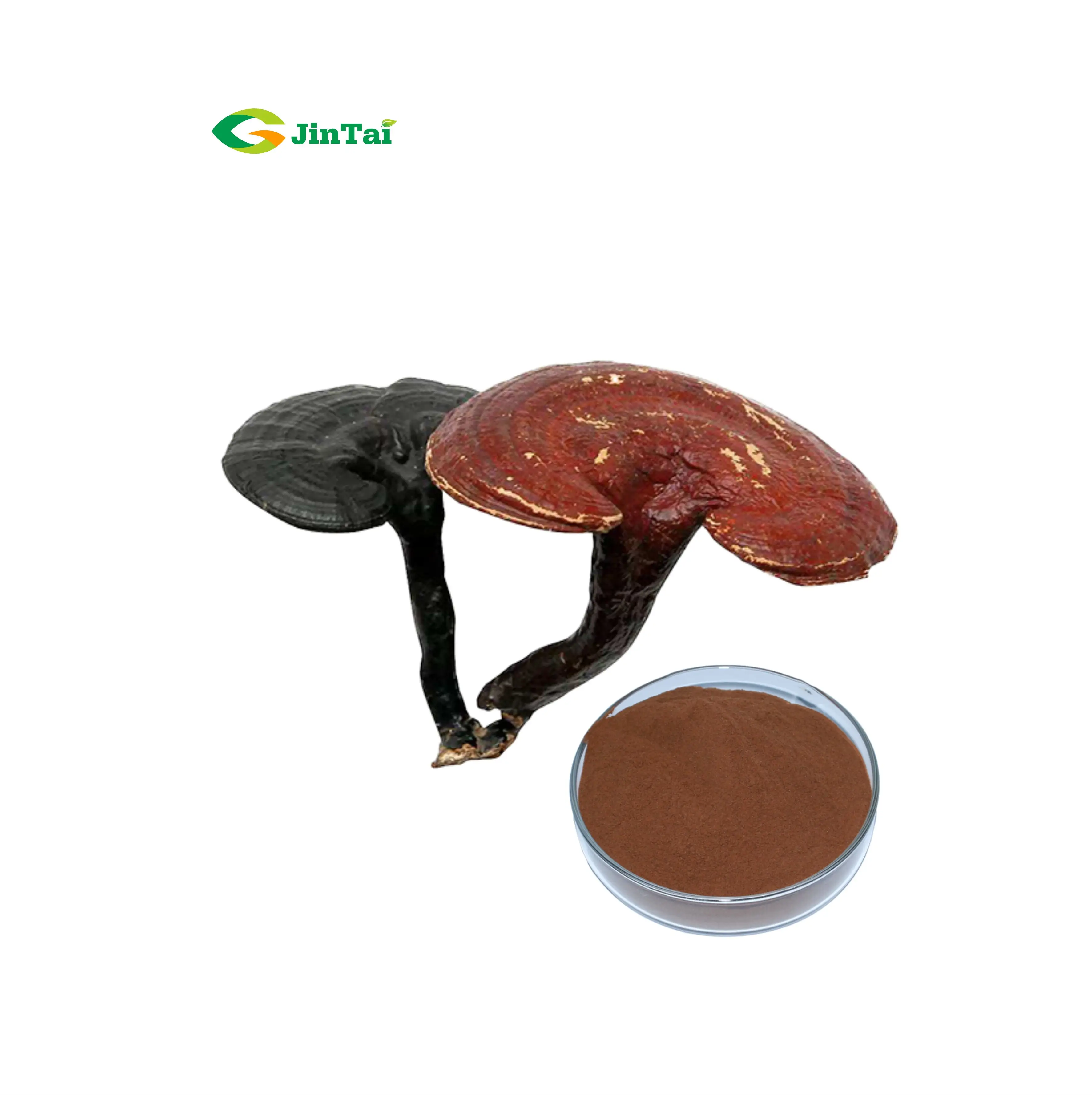 Natural ganoderma spore способ применения