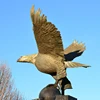 Outdoor Building Decoration Metal Sculpture Life Size Bronze Eagle Step on Ball Spread Wings Statue