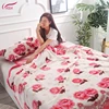 /product-detail/high-quality-low-price-wholesale-multi-purpose-100-polyester-mexican-thick-blanket-for-winter-62141717167.html