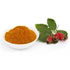 Bulk Supply Private Label Nutritional Fruit Supplement Vitamin C 100% Natural Rosehip Powder