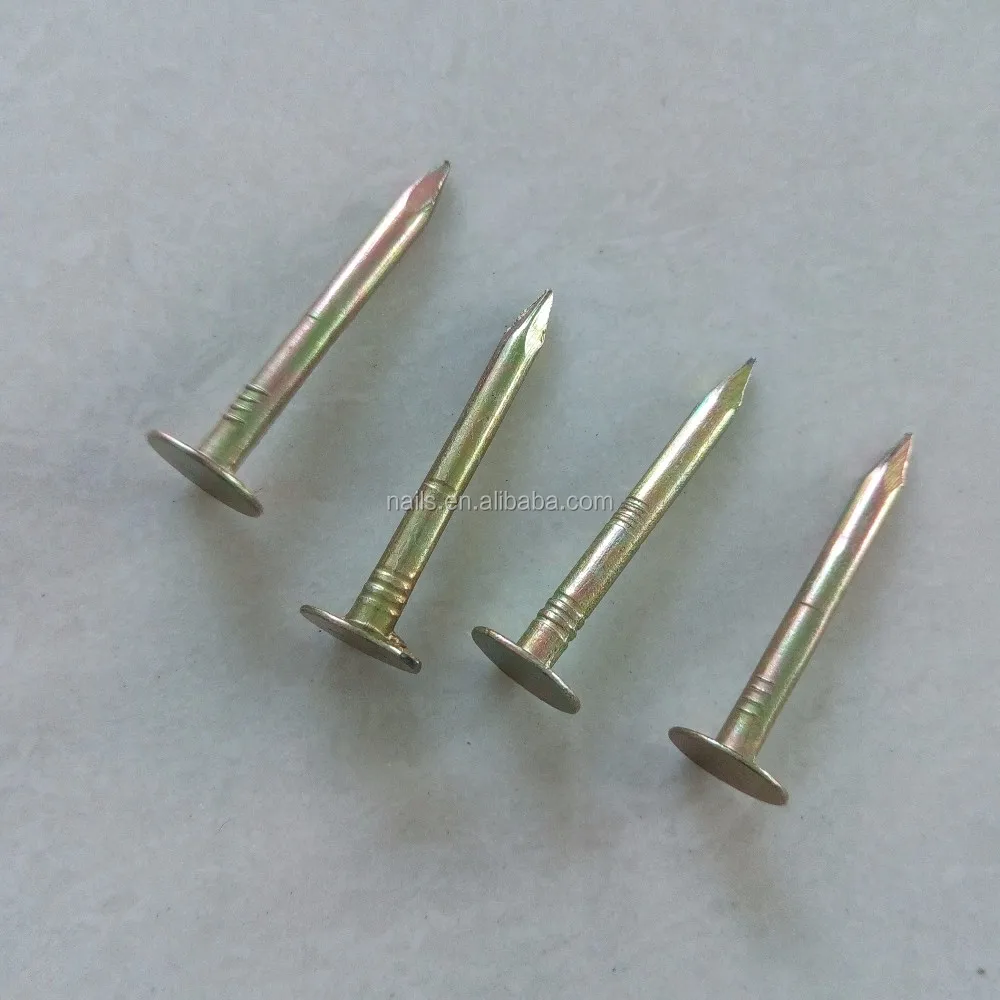 Galvanized Steel Linoleum Nails/wire Nails Buy Copper Nails For Sale