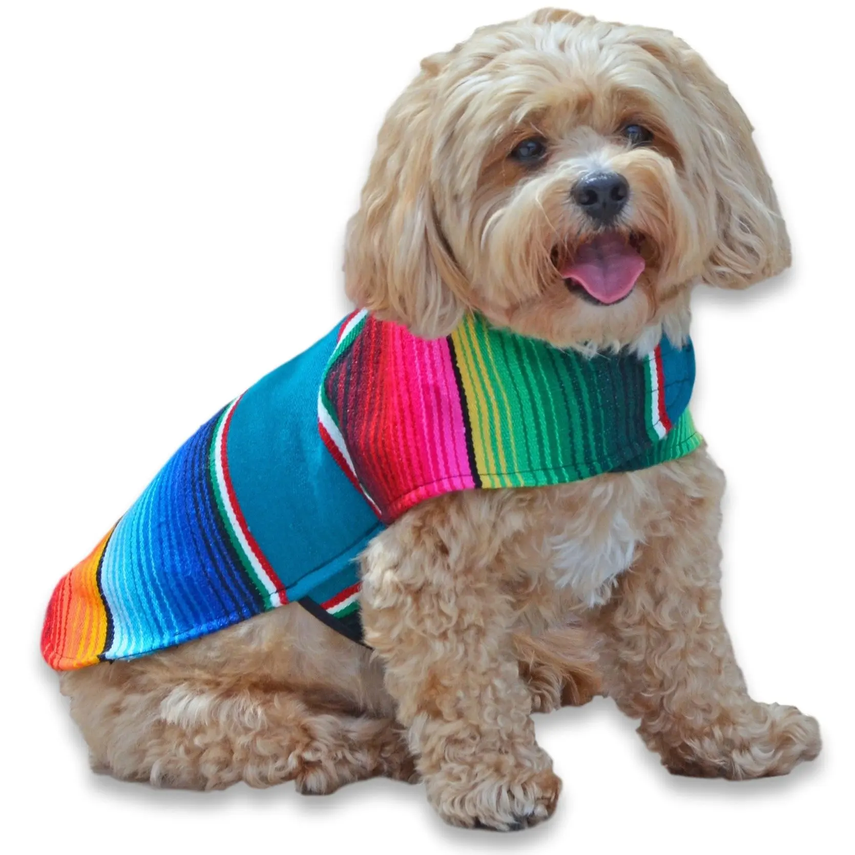 dog poncho mexican