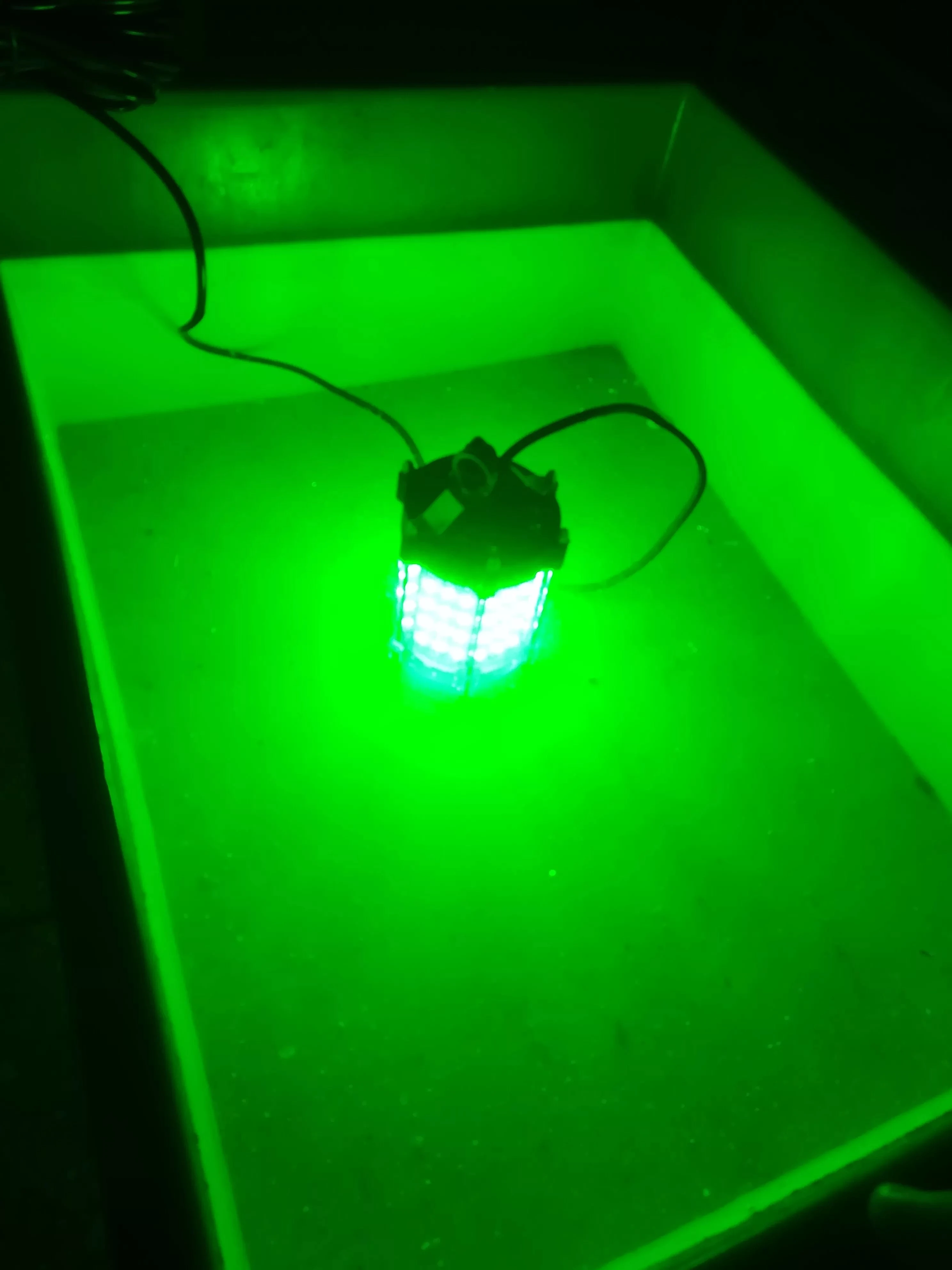 fishing light (1).jpg