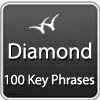Search Engine Optimization Diamond SEO Plan