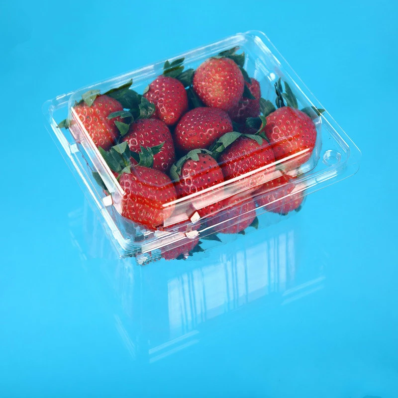 Transparent Pet Plastic Strawberry Packaging Container Disposable Clear