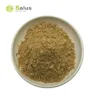 Organic Acorn kernel Extract Powder