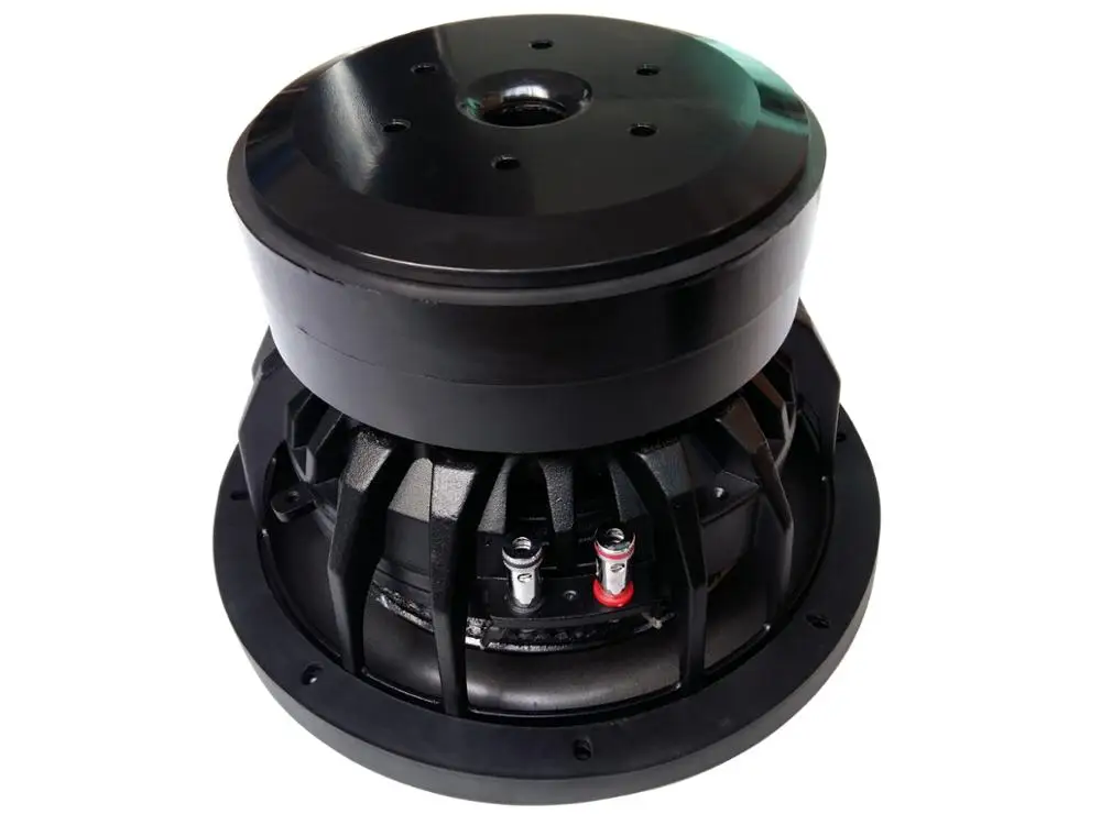 10 inch subwoofer  .jpg