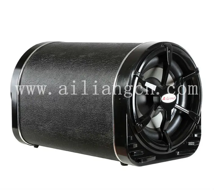 Ailiang New Pro Subwoofer Al1000a Big Power 10inch Car Subwoofer With Strong Bass Buy Pro Box