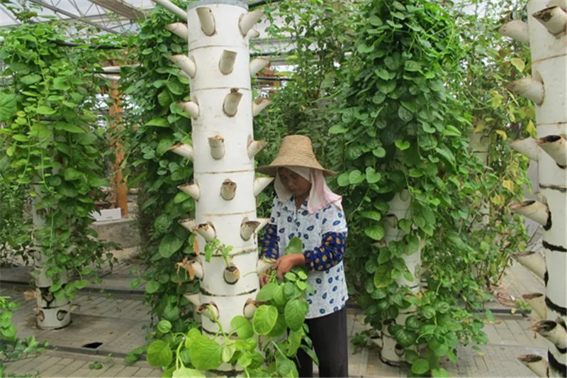 High Quality Soilless Cultivation Tomato Cucumber Grape Hydroponic Nft