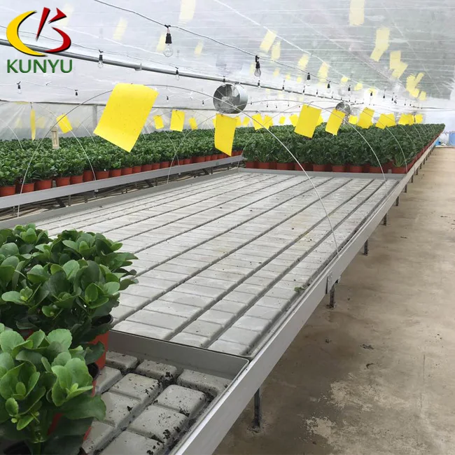 Hot Sale In Commercial Used Agricultural Ebb Flow Trays Rolling