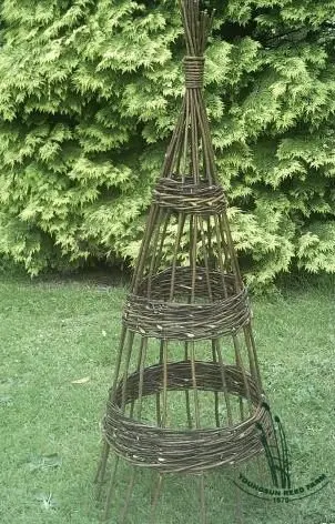 willow obelisk 10