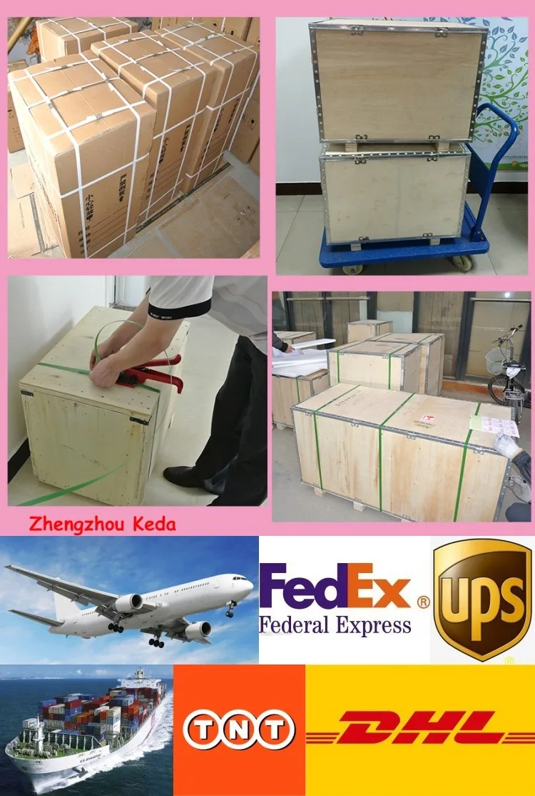 Rational Construction Industrial Vacuum Oven