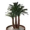 SJZZY Garden landscaping & decking artificial bonsai palm tree