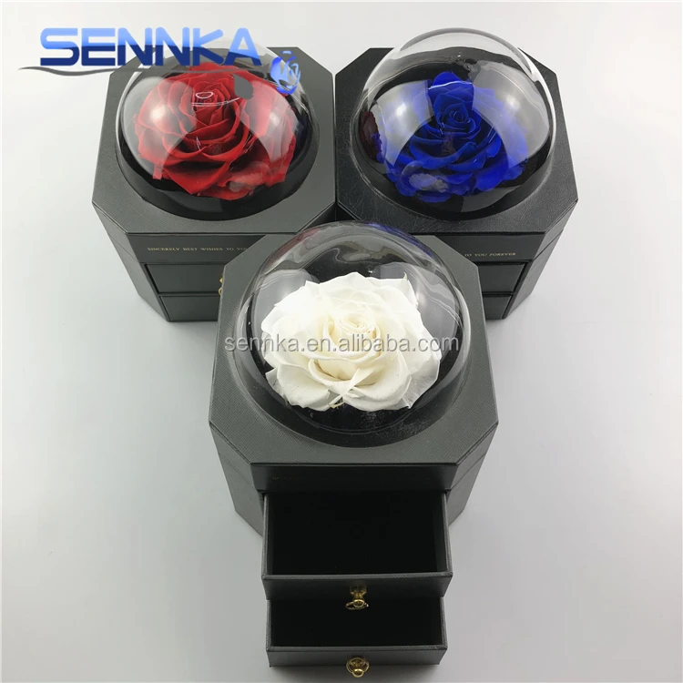 preserved rose 0509 (24)