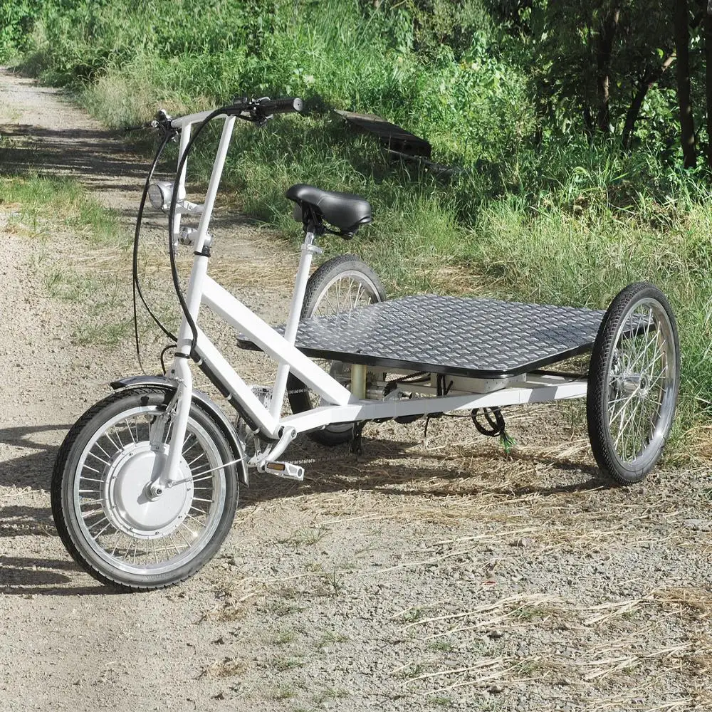 flatbed bike