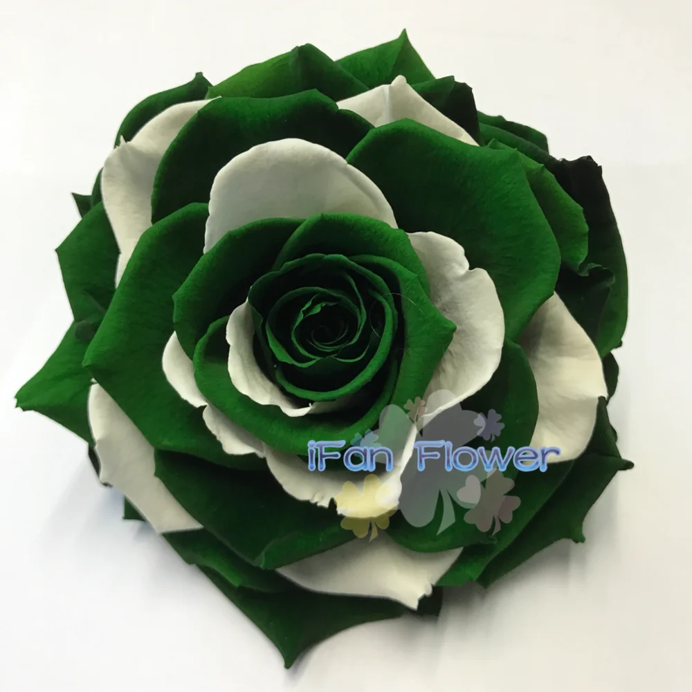 Green Preserved Rose  Flower Wreath