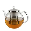 Glass Tea Pot & Kettle With Strainer and Infuser for Loose Leaf Blooming Flowering Iced & Herbal Tea Stovetop Safe Tea Maker
