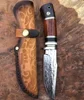 /product-detail/top-quality-oem-survival-67-layers-damascus-vg10-steel-hunting-knife-with-bovine-bone-ebony-wood-60770006309.html