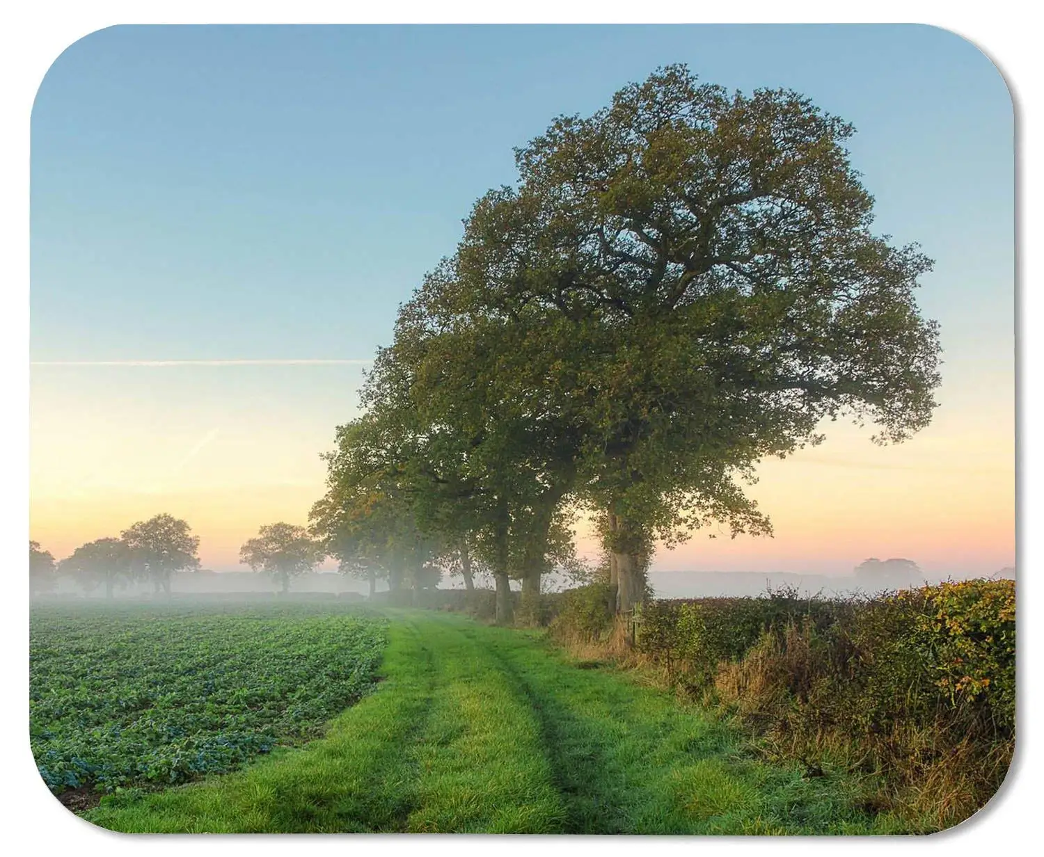 Morning Field Trees Mouse Pad mouse mouse pad Mouse Pad Pad Office Mouse Pad Gaming Mouse Pad Mat Mouse Pad mousepad Dimension: 9.5" x 7.9"