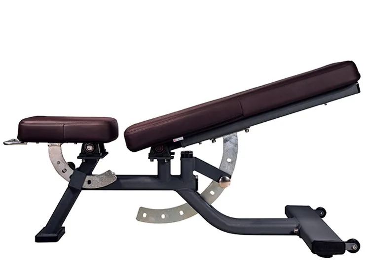 High Standard Indoor Exercise Commercial Seated Multi Adjustable Gym Bench For Sale Buy