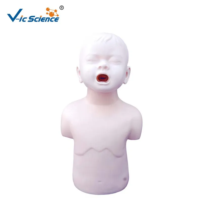 manikin doll