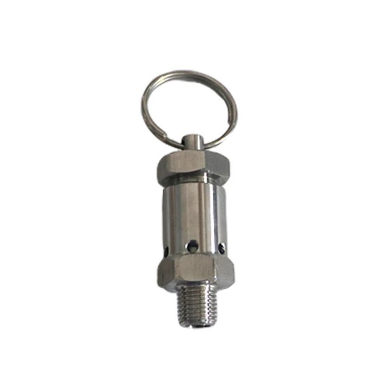 Stainless Steel Mini Safety Pressure Relief Valve For Solvent Tank In