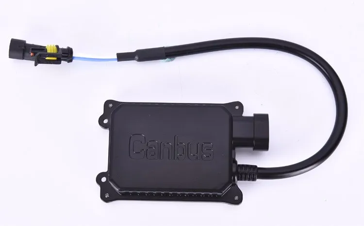 _DSC5972750.jpg .jpg