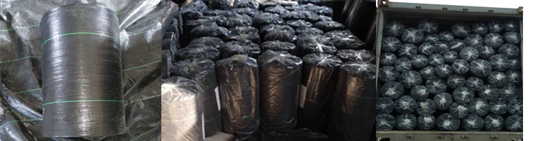 Convenient and Eco-friendly Plastic Weed Mat for stop grass growing