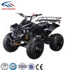 110cc 125cc EPA gasoline quad