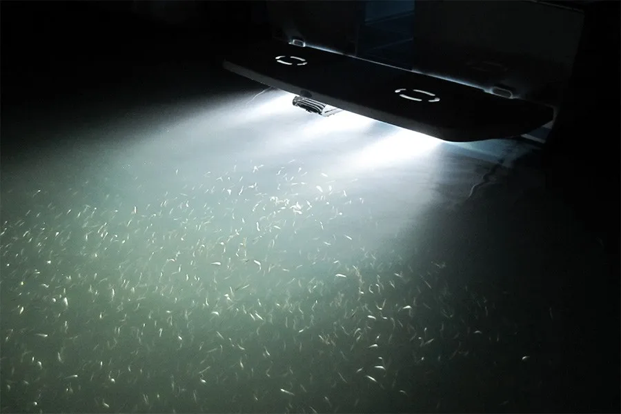 Weiken Super Bright Led Marine Underwater Boat Light 12v Rgb Wireless