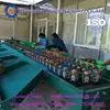Electronic Weight Grader Selecting Fruit Machine for sale mobile:0086 13703827012