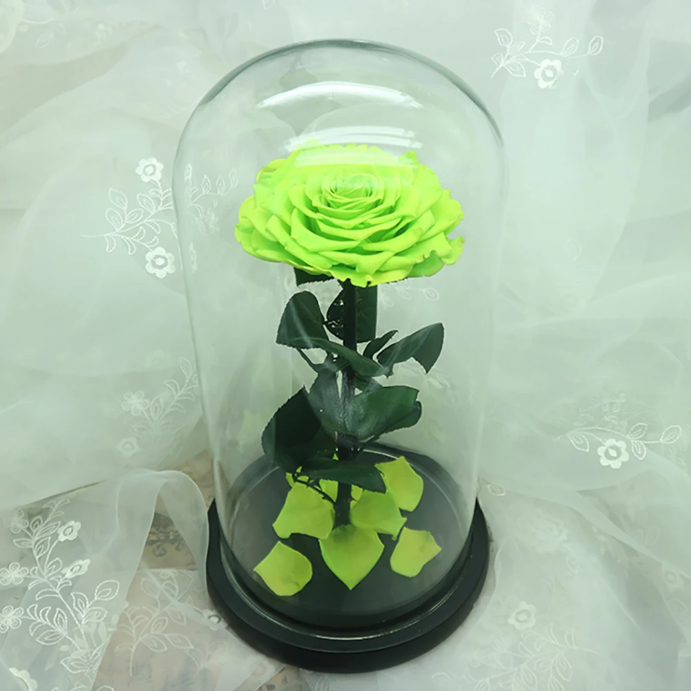 
Real Rose Natural Preserved Roses Princess Universal Christmas Gifst In Glass dome 