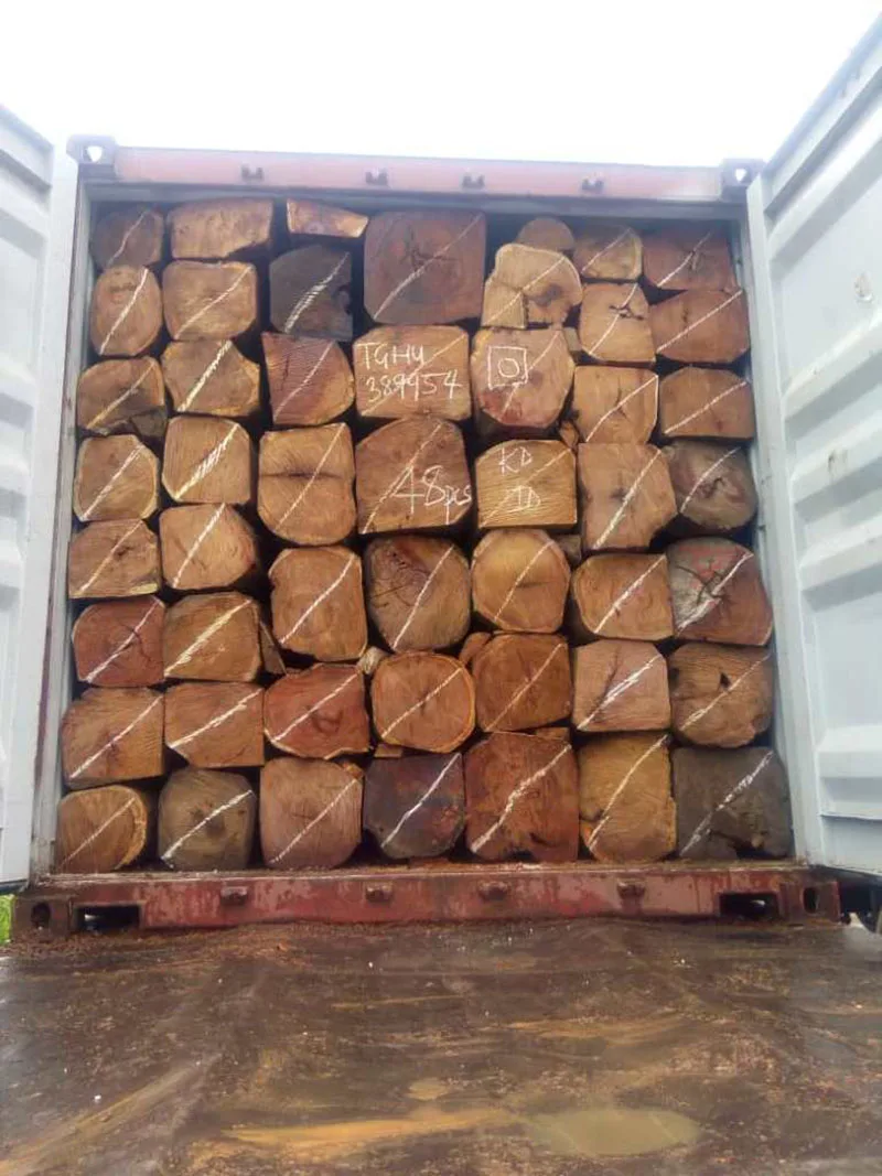 Cheap kosso / Sapelli / Tali / Teak / Pachyloba Wood Logs