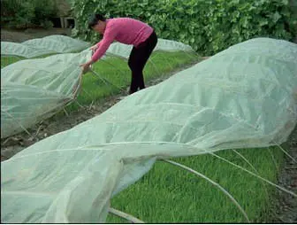 Nonwoven fabric plant cover