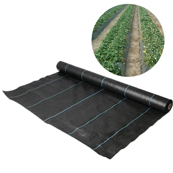 Egp Pp Weed Mat Organic Agricultural Plastic Mulch,Recyclable Weed ...