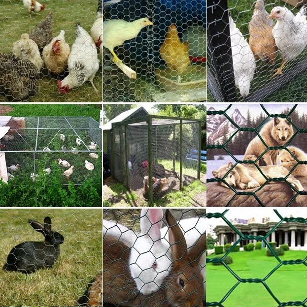 Chicken Coop Wire Application For Roost Mesh Hexagonal Wire Mesh - Buy ...