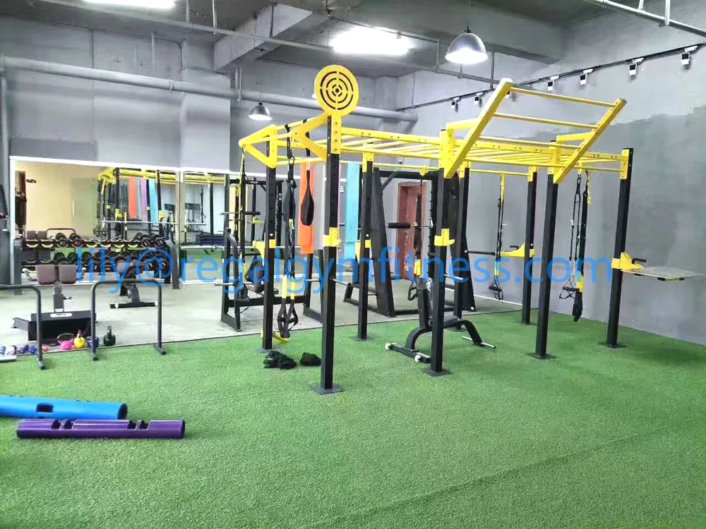 Commercial Sports Exercise Gym Fitness Machine Monkey Bar Rig Equipment